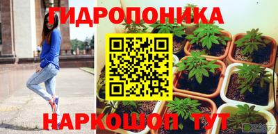 2c-b Краснознаменск
